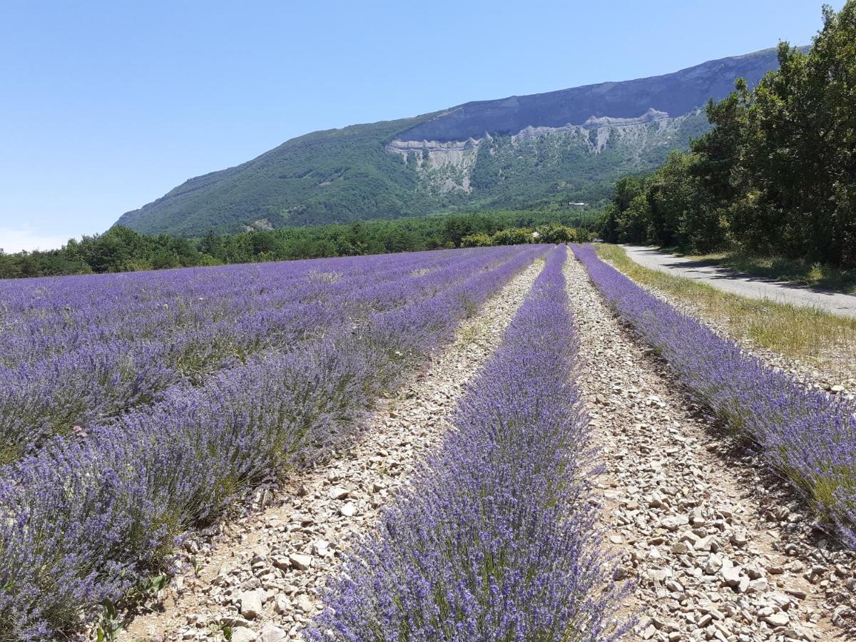 Rose Des Alpes Panzió Serres  Kültér fotó